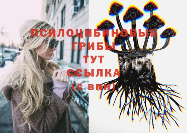 apvp Алексеевка